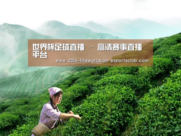 世界杯足球直播 - 高清赛事直播平台