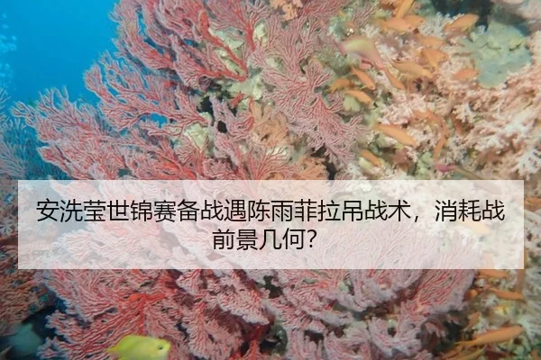 an-xi-ying-shi-jin-sai-bei-zhan-yu-chen-yu-fei-la-diao-zhan-shu-xiao-hao-zhan-qian-jing-ji-he-2-577.jpg