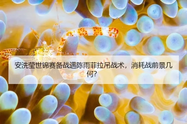 安洗莹世锦赛备战遇陈雨菲拉吊战术，消耗战前景几何？