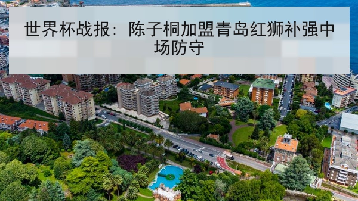 世界杯战报: 陈子桐加盟青岛红狮补强中场防守