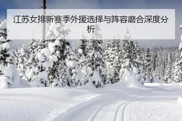 jiang-su-nv-pai-xin-sai-ji-wai-yuan-xuan-ze-yu-zhen-rong-mo-he-shen-du-fen-xi-2-694.jpg