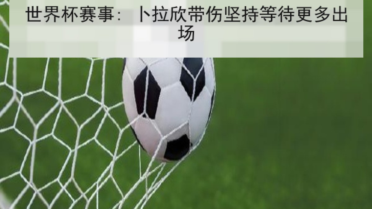 世界杯赛事: 卜拉欣带伤坚持等待更多出场