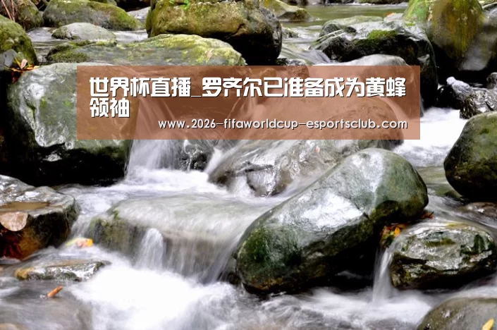  世界杯直播_罗齐尔已准备成为黄蜂领袖