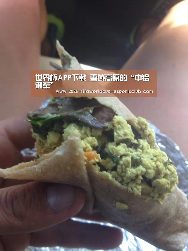 世界杯足球直播